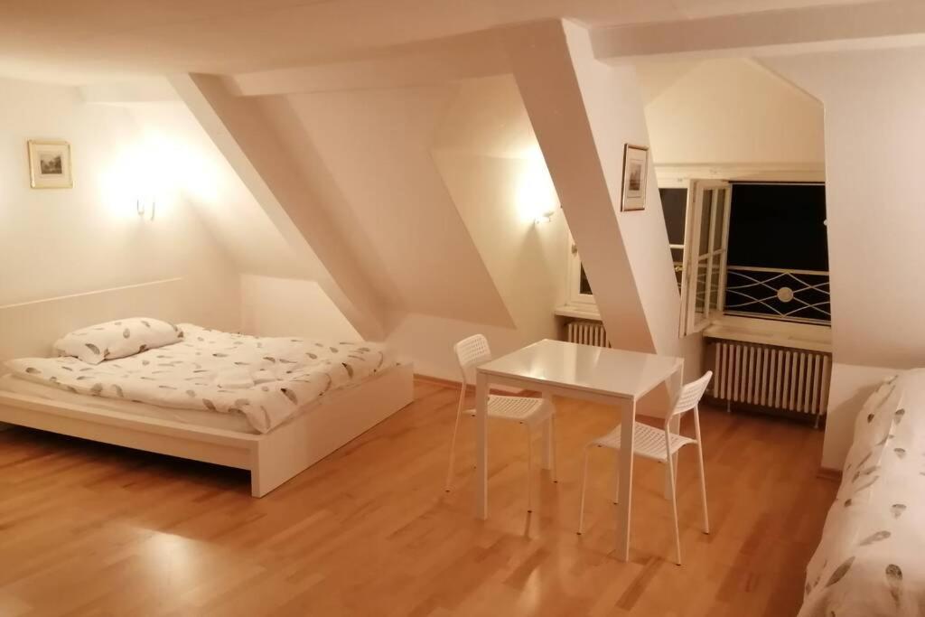 Apartmán Studio F Am Barfusserplatz Central Old Town Basilej Exteriér fotografie