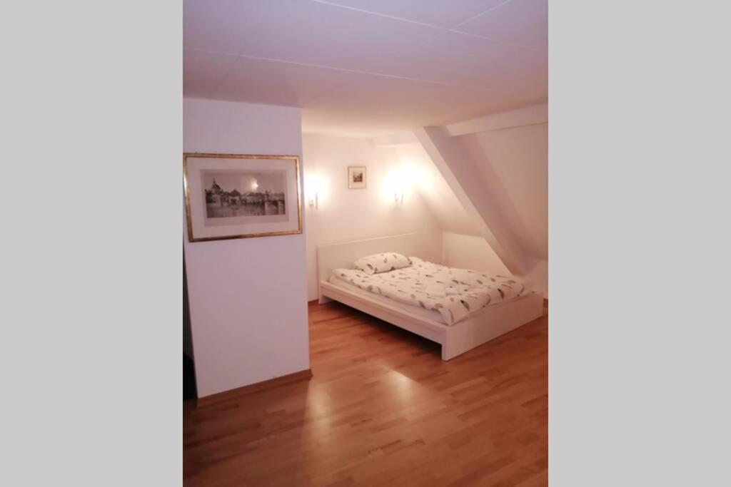 Apartmán Studio F Am Barfusserplatz Central Old Town Basilej Exteriér fotografie